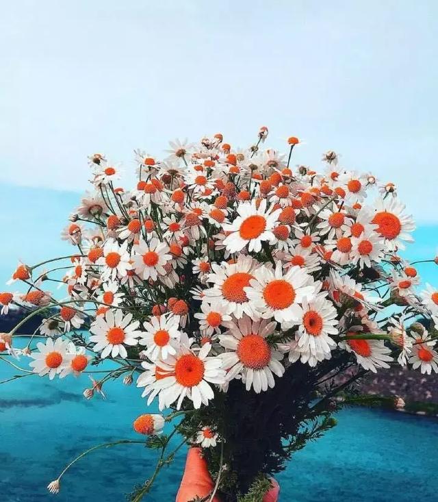 不能給予笑容的人，最需要笑容