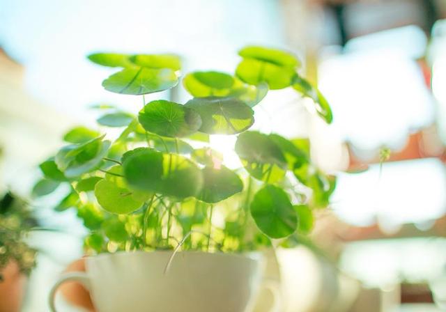 把賺錢當做一回事，你就贏了