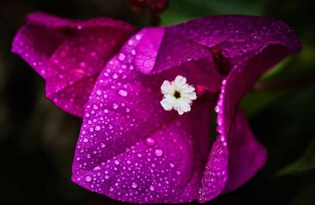 餘生，一個人，一杯茶，一首歌