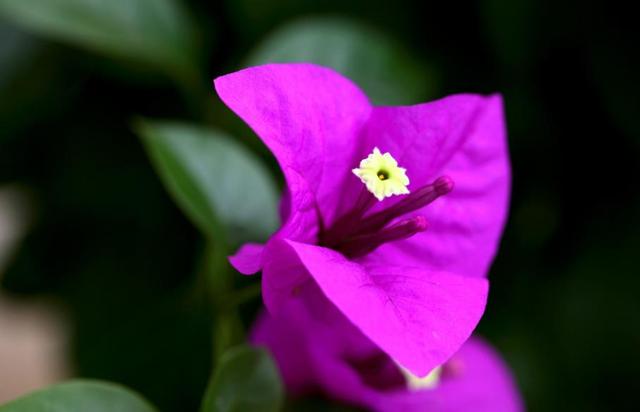 餘生，一個人，一杯茶，一首歌
