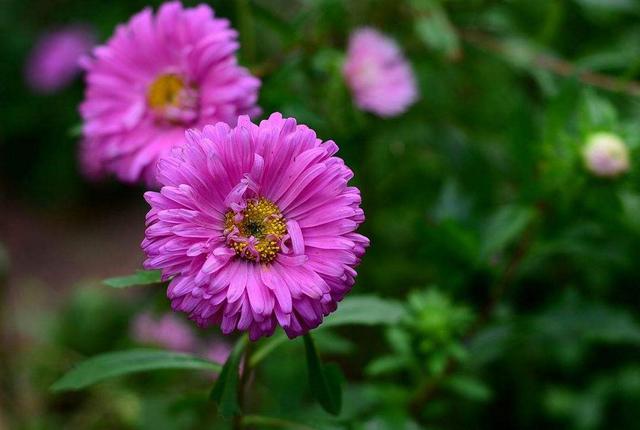 做人，千萬別把這三件“好事”做過頭，否則必有災禍