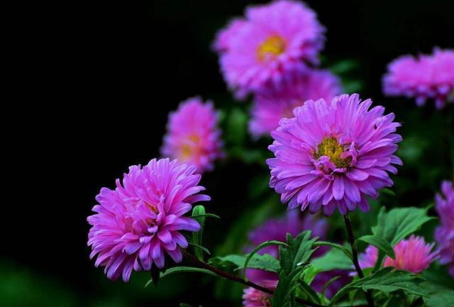 做人，千萬別把這三件“好事”做過頭，否則必有災禍