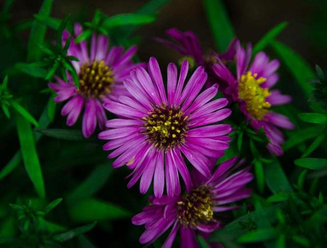 做人，千萬別把這三件“好事”做過頭，否則必有災禍