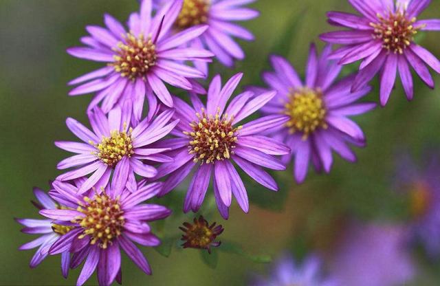 做人，千萬別把這三件“好事”做過頭，否則必有災禍