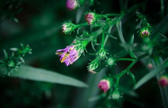 做人，千萬別把這三件“好事”做過頭，否則必有災禍