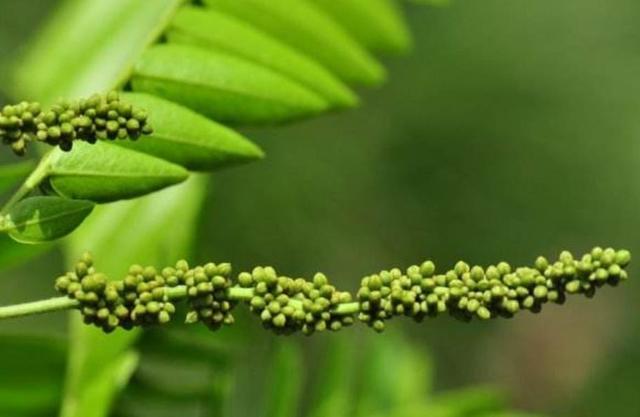 人到六十，從此別江湖，屋前種花屋後乘涼