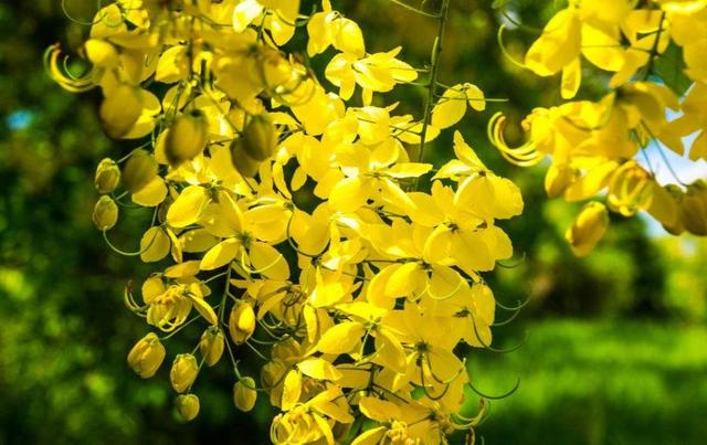 人到六十，從此別江湖，屋前種花屋後乘涼