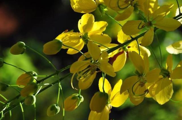 人到六十，從此別江湖，屋前種花屋後乘涼