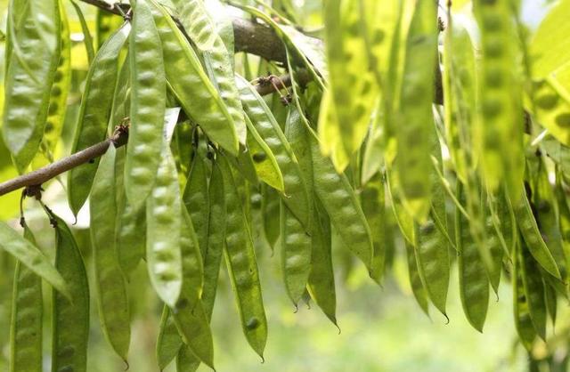 人到六十，從此別江湖，屋前種花屋後乘涼