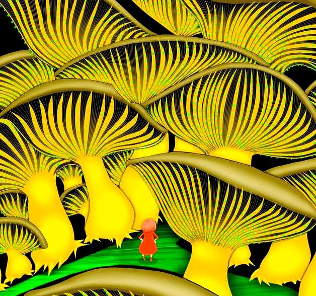 不羨人有，不恨己無，不與命爭，學會為自己鼓掌