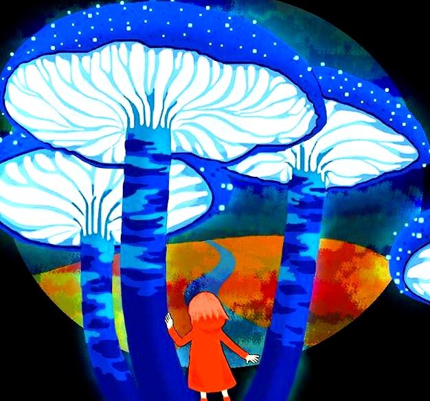 不羨人有，不恨己無，不與命爭，學會為自己鼓掌