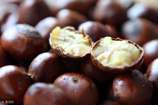 秋天吃栗子，3個好處勝吃補藥！