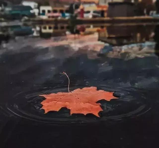 一輩子，究竟什麼最重要？