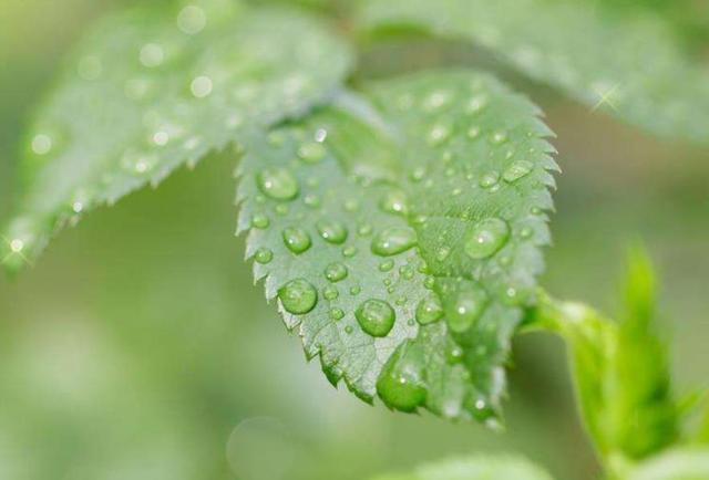 一個人受過的傷多了，就哭不出來了