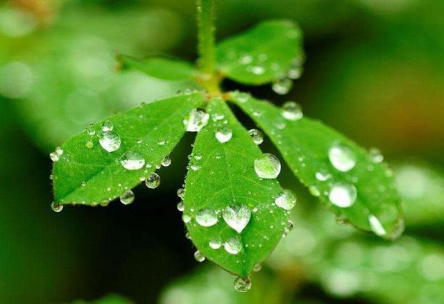 一個人受過的傷多了，就哭不出來了