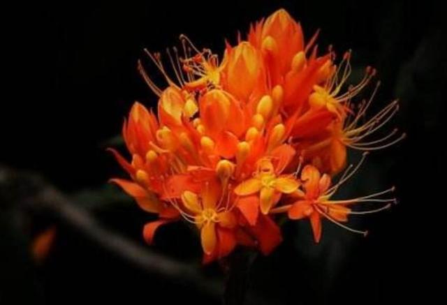 真正優秀的人，往往都很安靜