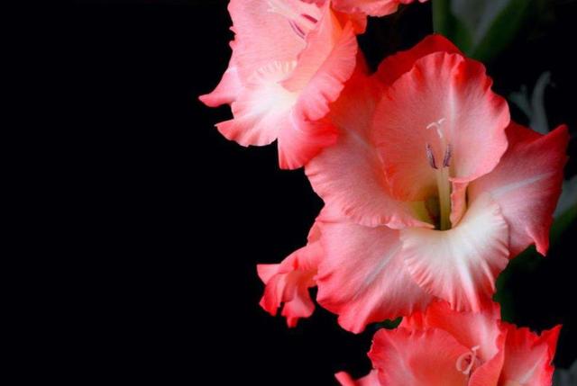 有一些累，無法說出口