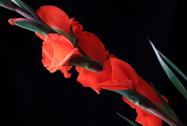 有一些累，無法說出口