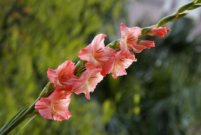 有一些累，無法說出口