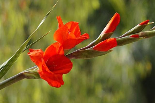 有一些累，無法說出口