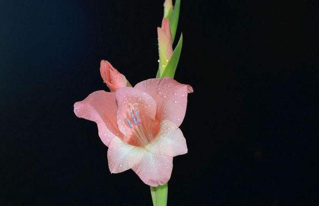 有一些累，無法說出口