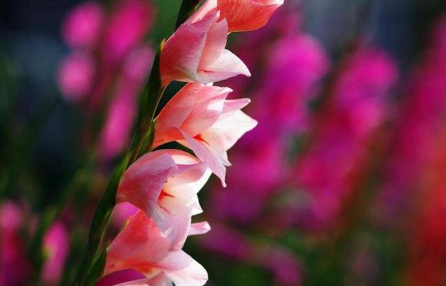 有一些累，無法說出口