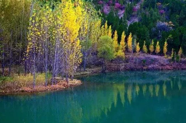 等風，等雨，等秋色