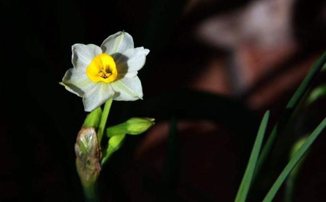 後半生，做個靜水深流的人