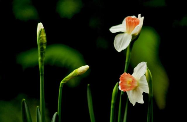 後半生，做個靜水深流的人