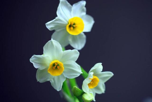 後半生，做個靜水深流的人