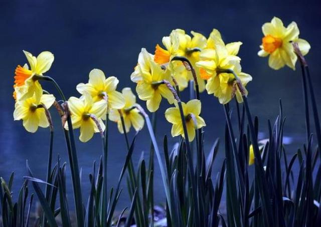 後半生，做個靜水深流的人