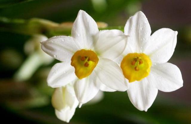 後半生，做個靜水深流的人