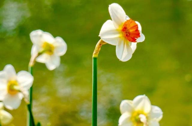 後半生，做個靜水深流的人