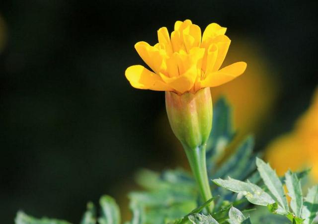 人到六十，請給自己留下這三條後路吧