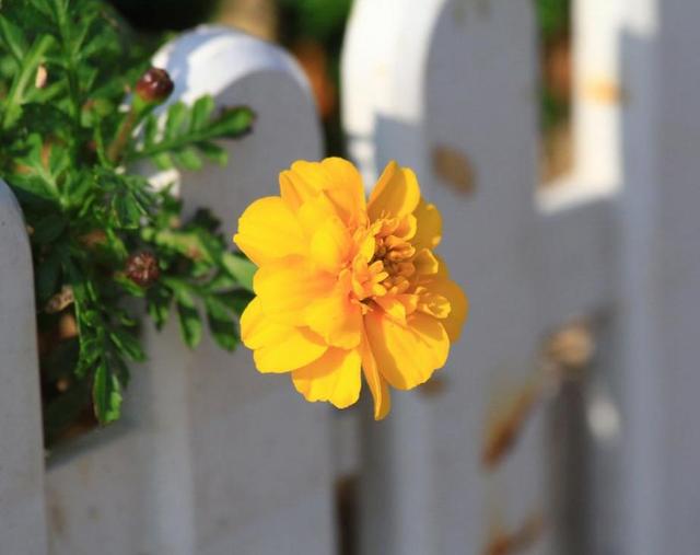 人到六十，請給自己留下這三條後路吧