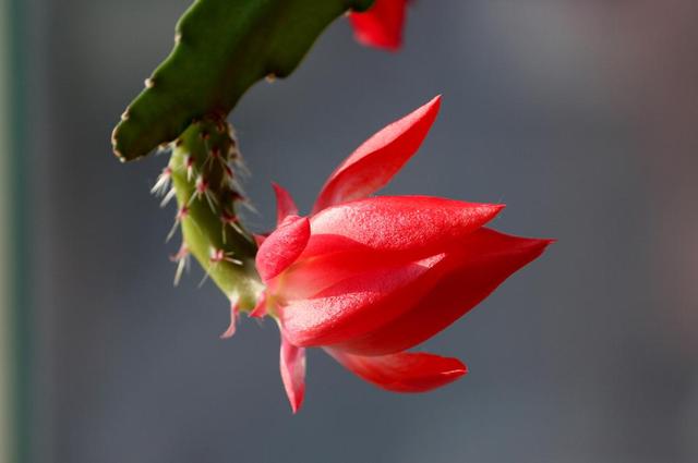 做個內心安詳的人,我們的人生才會更加吉祥