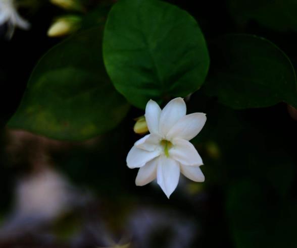 人生苦短，請不要隨意辜負自己