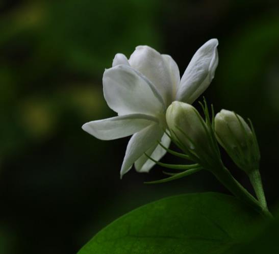 人生苦短，請不要隨意辜負自己