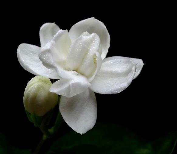 人生苦短，請不要隨意辜負自己