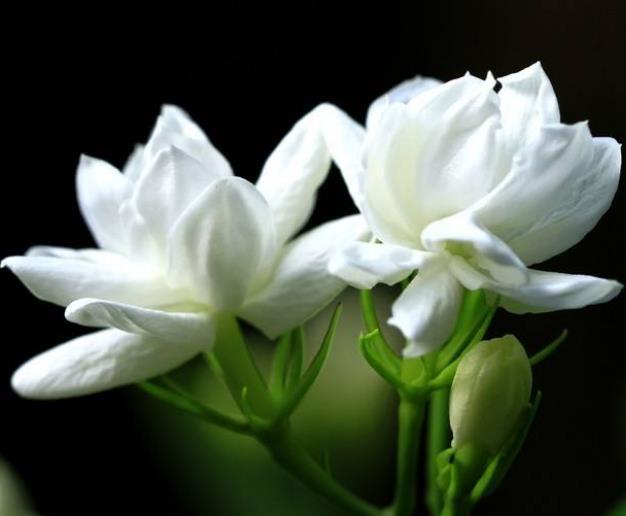 人生苦短，請不要隨意辜負自己