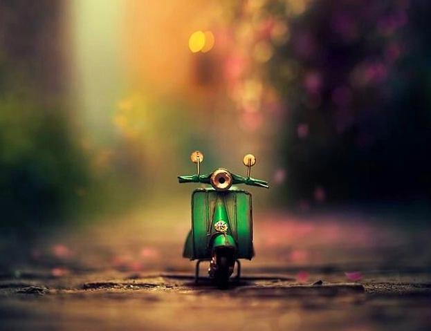 有遺憾，生命才會意蘊深長