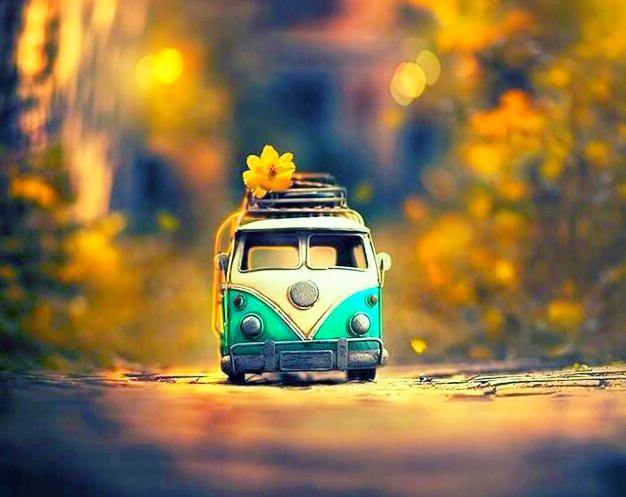 有遺憾，生命才會意蘊深長