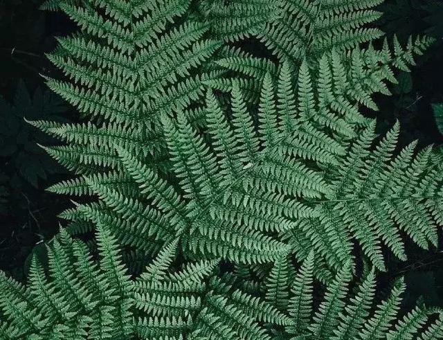 混得再差，不要怨天尤人！