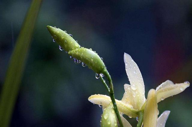 人在落魄時，做好這三件事，才能時來運轉