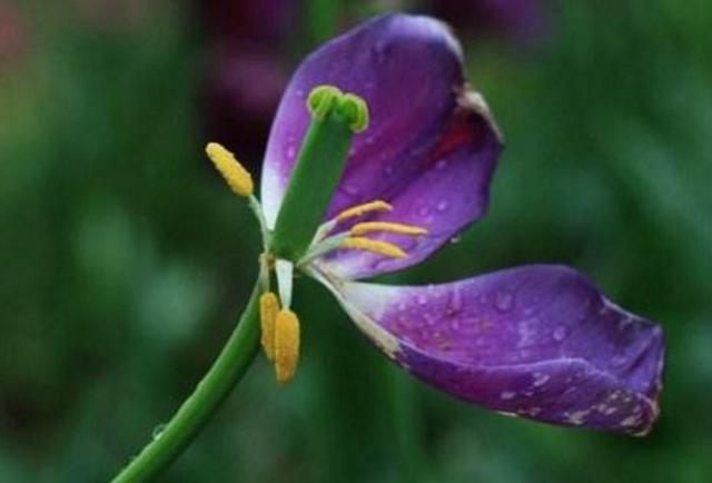 人在落魄時，做好這三件事，才能時來運轉