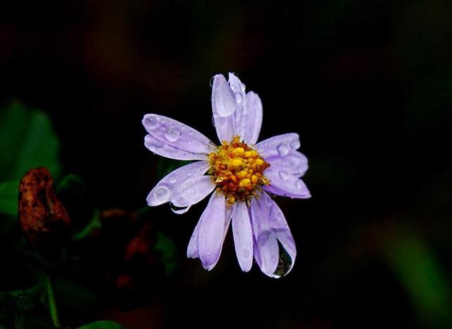 人在落魄時，做好這三件事，才能時來運轉