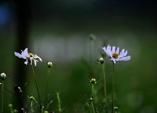 人在落魄時，做好這三件事，才能時來運轉
