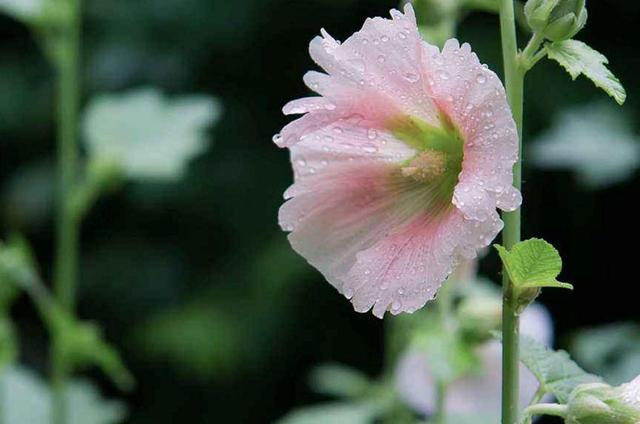 人在落魄時，做好這三件事，才能時來運轉