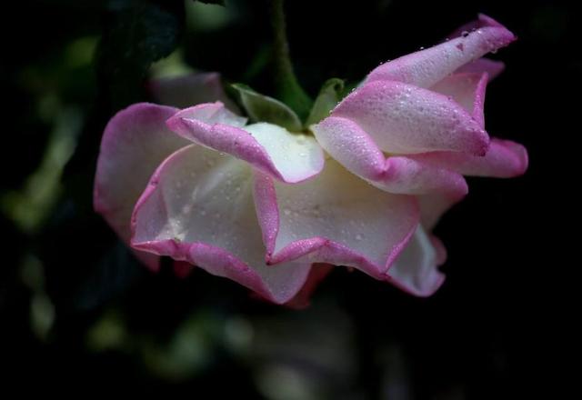 人在落魄時，做好這三件事，才能時來運轉