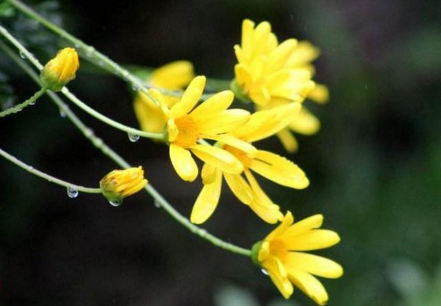 人在落魄時，做好這三件事，才能時來運轉